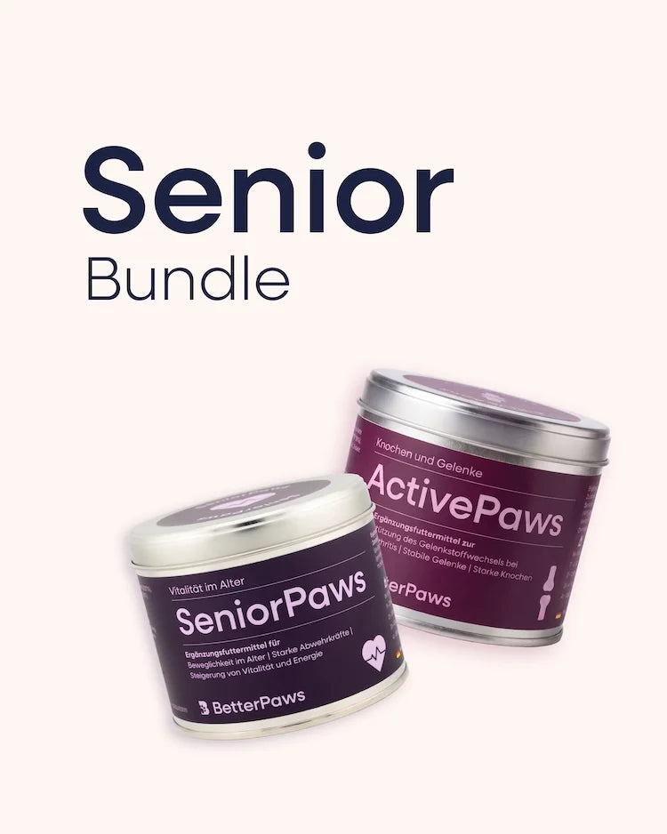 Senior Bundle