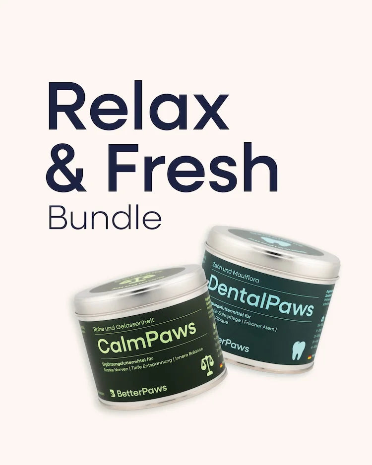 Relax & Fresh Bundle