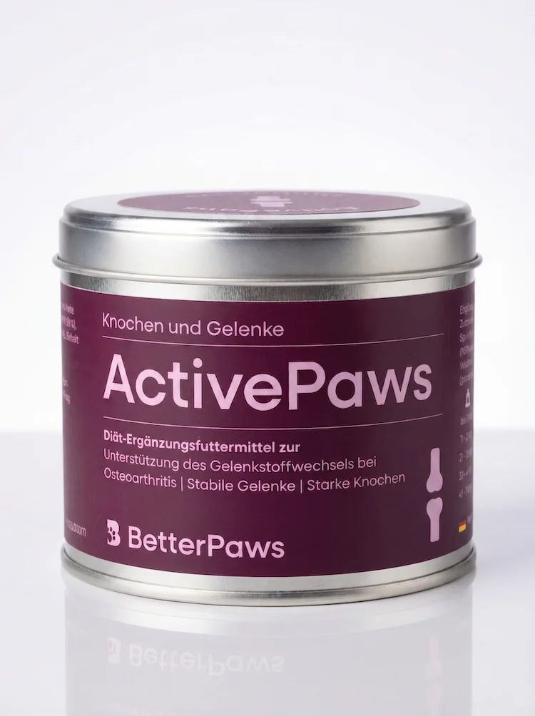 ActivePaws