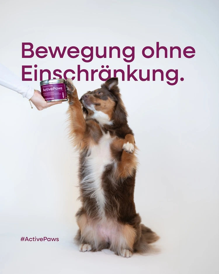 ActivePaws