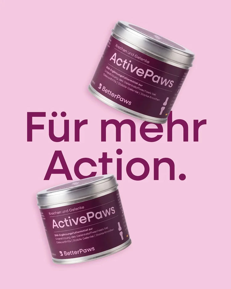 ActivePaws