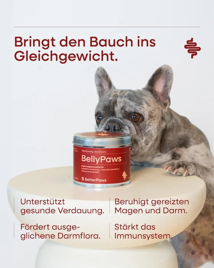 BellyPaws