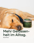 Relax & Fresh Bundle