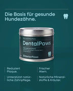 DentalPaws