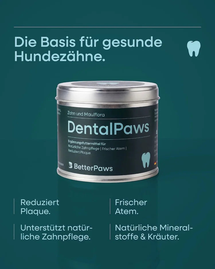 DentalPaws