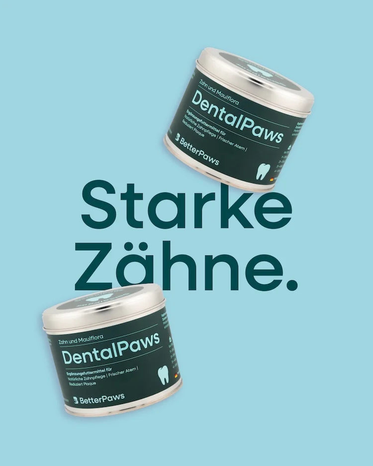 DentalPaws