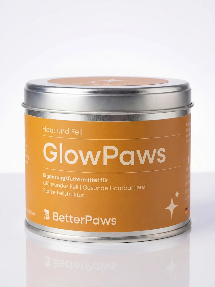 GlowPaws