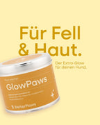 GlowPaws